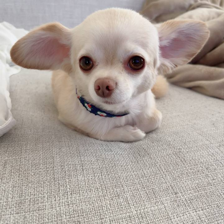 Ddc02818 7063 4b50 96e8 e4692acac634 1723071996612