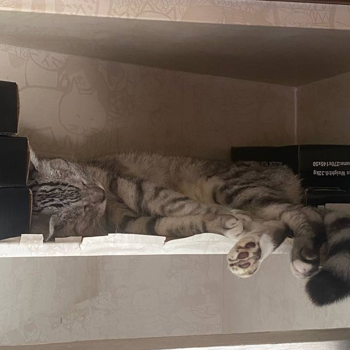 Ddc08199 743e 4325 8b67 474543dfd1f4 1755400539450