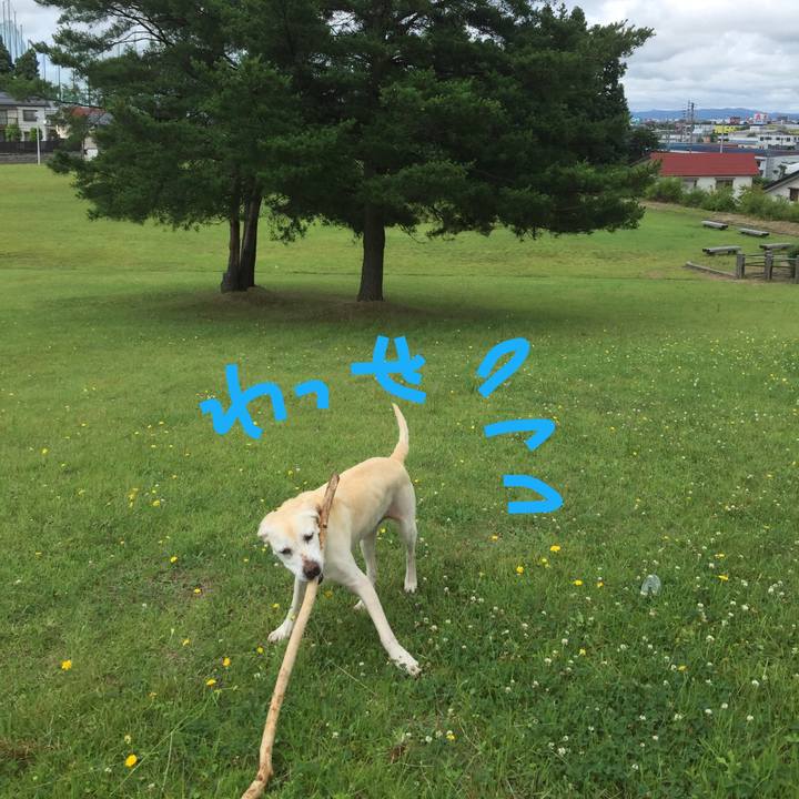 Ddc0b754 9124 4021 b925 ac78fef8f73c 1563535552868