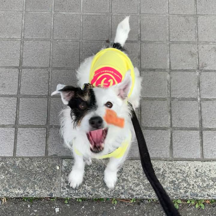 Ddc0dc9b 4d62 4dc3 bd45 44afe87996b3 1677654072398