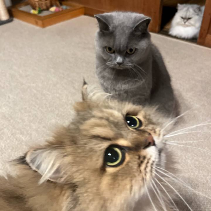 Ddc0e020 1411 4914 8ff9 0ad6204cdede 1637324967293