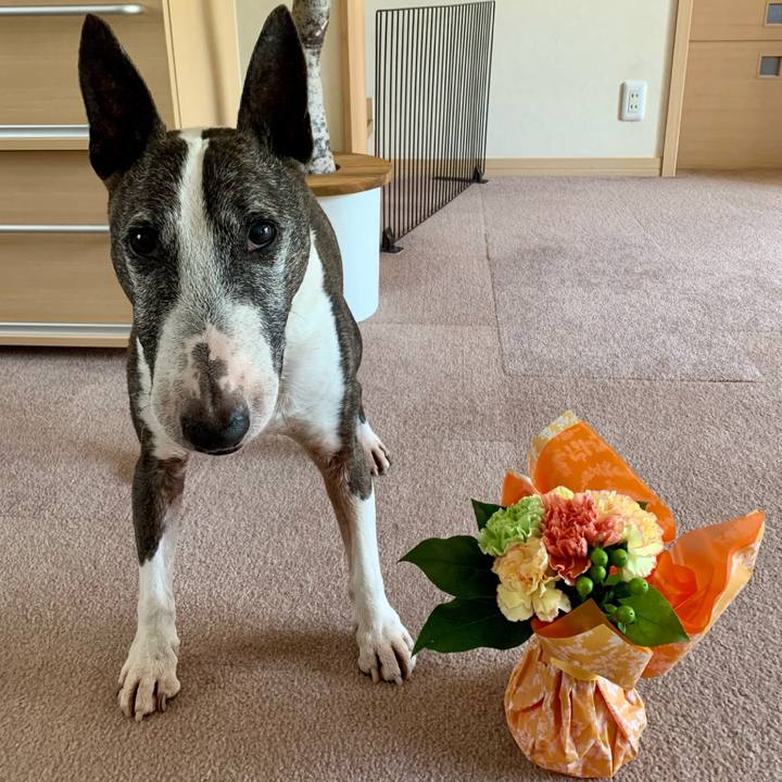 Ddc0efc5 141d 4e44 b422 7c1c26e463a5 1620537648275