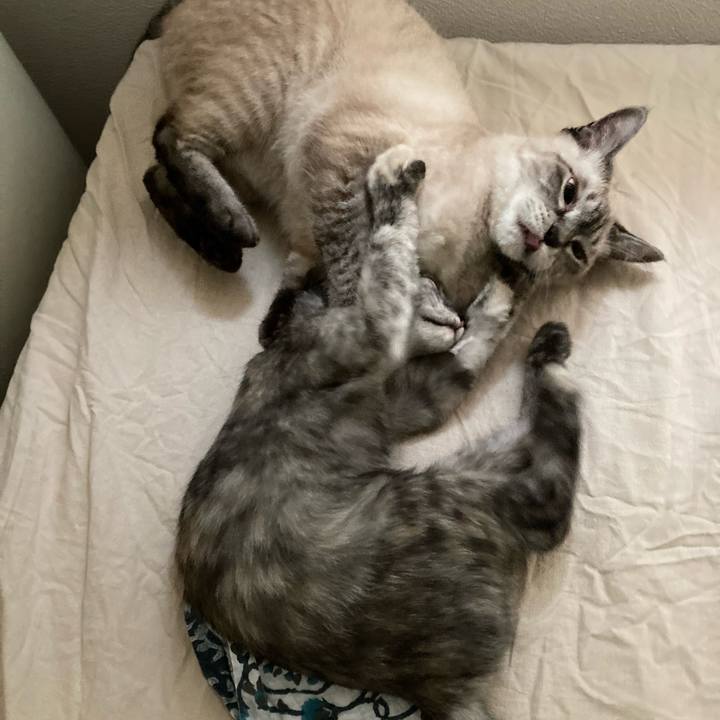 Ddc1008e 2db6 470d ba6a 6797180cff34 1695852849784