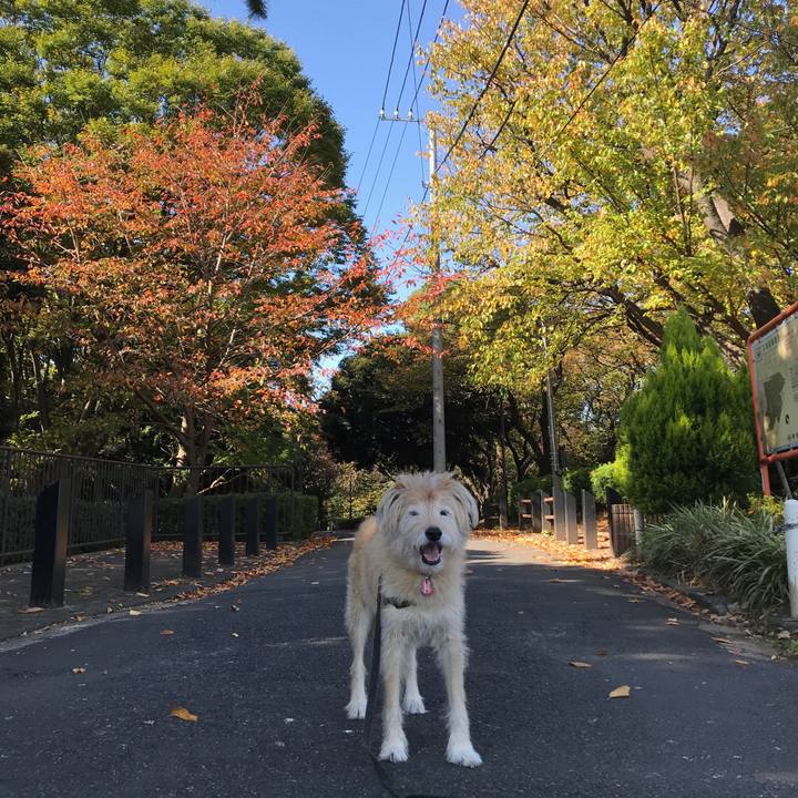 Ddc15421 5e59 4c90 b382 b09691838d7f 1605317602214