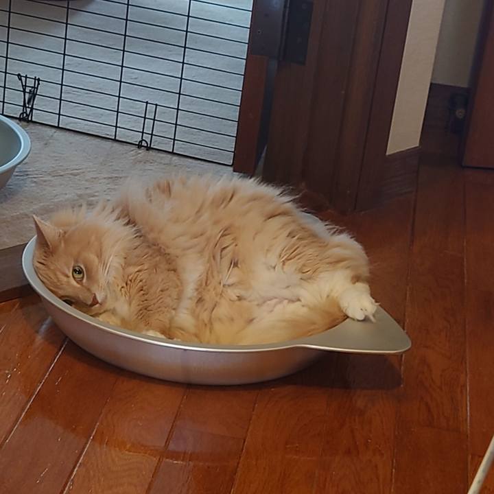 Ddc1562b 99ad 4199 81d6 3f26001e1eba 1627956524855