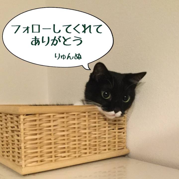 Ddc16bb1 398c 41e0 965a 1b6cdab21056 1539185652168