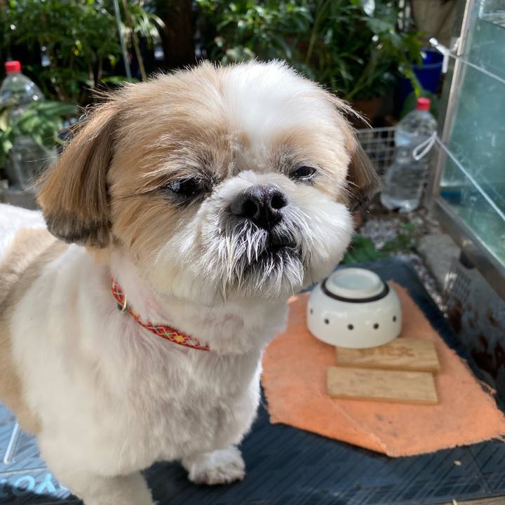 Ddc18949 af84 42d8 a1c4 c2dd225b0a96 1604229170867