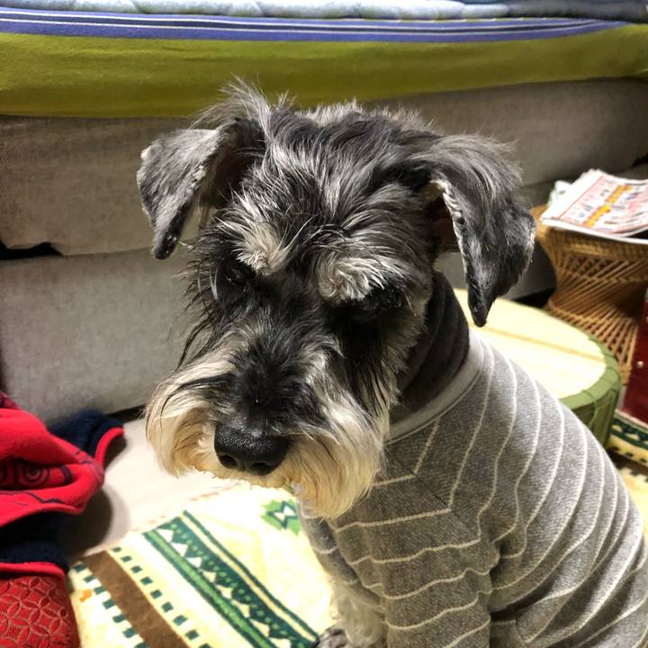 Ddc1ab28 ca3b 43b5 b9f9 7161344331a5 1651230411370