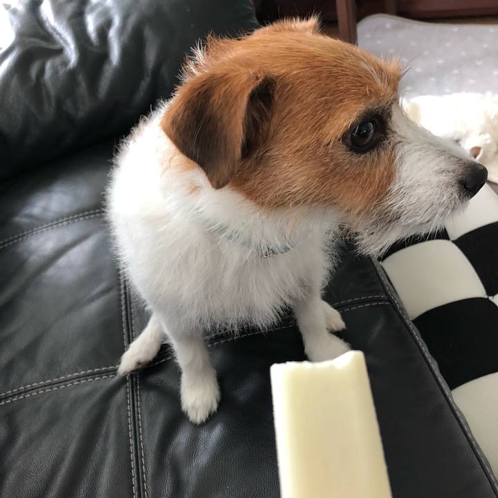 Ddc1acff 430d 4203 9378 7ba35bca80b7 1570403553501