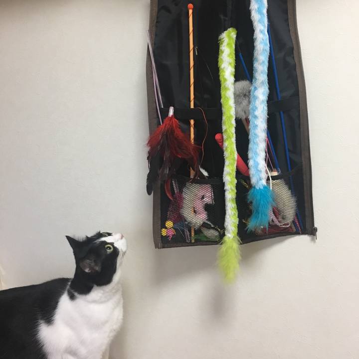 Ddc1b1e9 471e 4ffc 9874 b35eafd82274 1529226208818