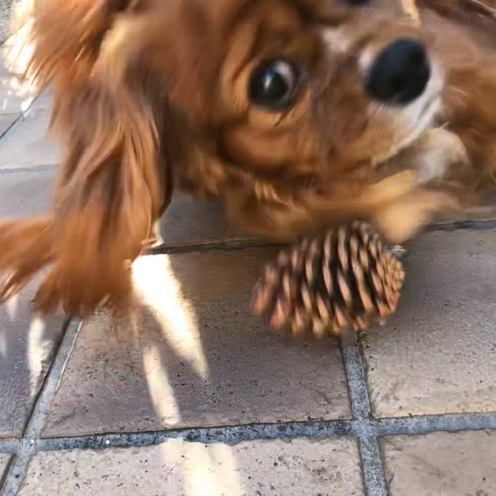 Ddc1f527 4172 428d 8a93 28e914b550ad 1613302557785