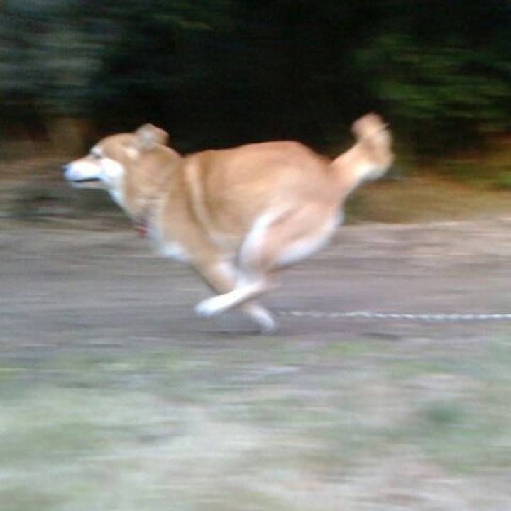 Ddc21a4e c3c5 4f8e bc50 568b7739ccab 1516955923286