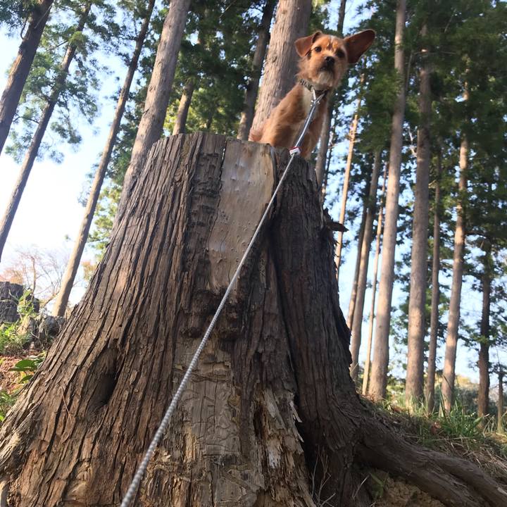 Ddc2289d 7e50 4b76 9822 96e6e9138df4 1556014692312