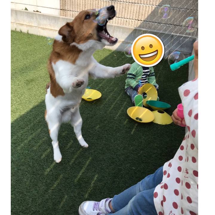 Ddc23183 f114 49a8 8257 ab262d86a586 1586234856256