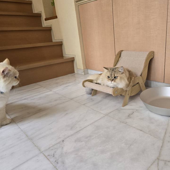 Ddc235fb dd6a 4b26 b61e 1af6c95ec363 1758338711281