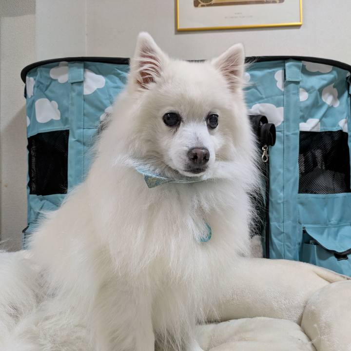 Ddc25e97 9585 4d5d a96f f78d2808f4ed 1767931129468