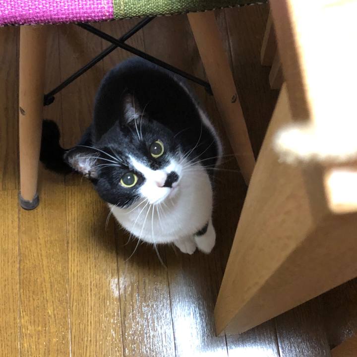 Ddc2642b fdc9 44d9 acf7 cfdd871f9557 1538290053411