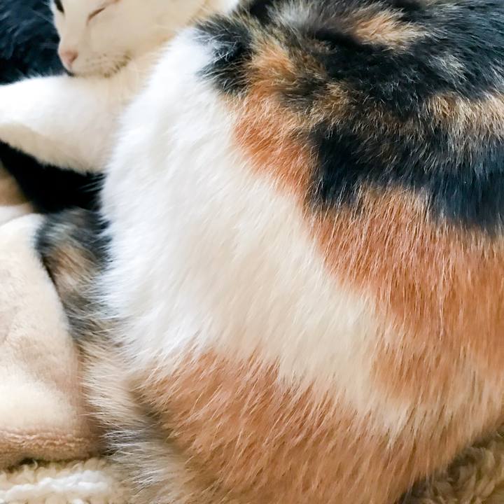 Ddc27a99 c0cf 4693 8baf c73829dc6465 1514510365860