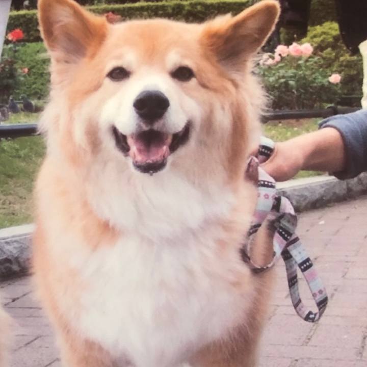 Ddc27bff bf65 4c83 8320 3d72de7c52e5 1586501198964