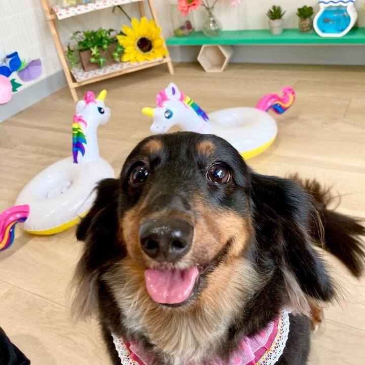 Ddc2b3fe 8711 42b8 9b12 e3b3bc275ab9 1661149271731