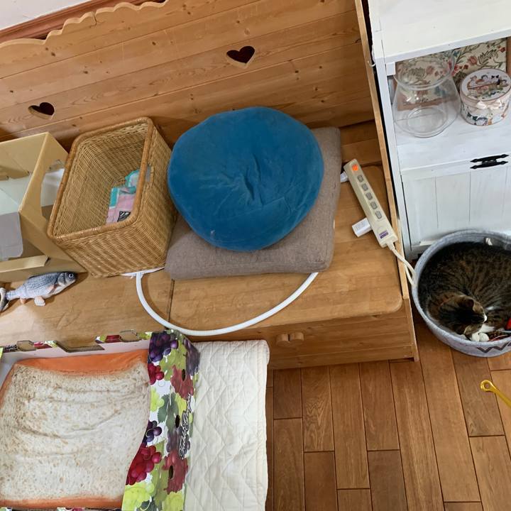 Ddc2b89b df23 43be bb0b 486e8a3fa1cf 1667539106582