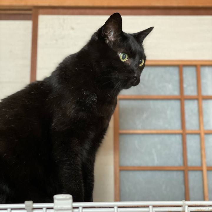 Ddc2f4b6 9b0c 4f1f 8dbe f24adf9dc162 1621648542675