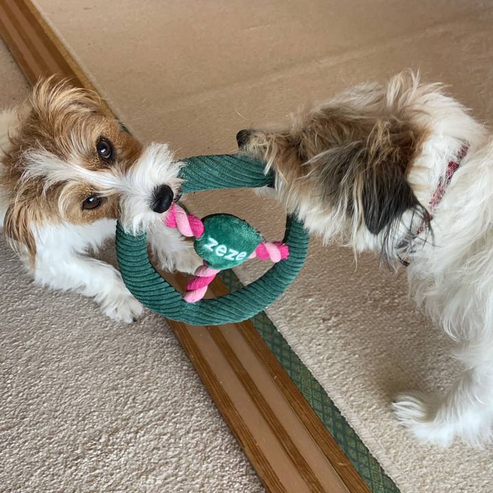 Ddc30a23 898c 494b 83db 10f17e8b3f6d 1772364213097