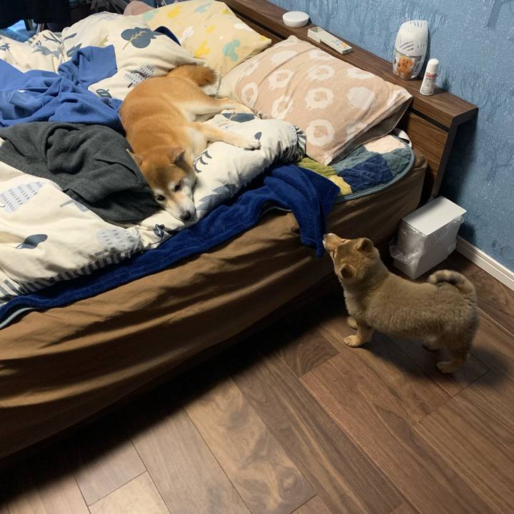 Ddc3130a a67e 4c91 b42a a24936918275 1618543445160