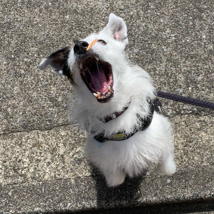 Ddc31399 a376 46d9 9379 740b3f46f608 1746402857794