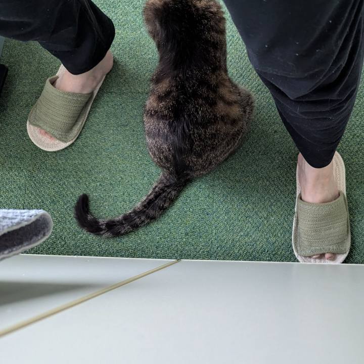 Ddc32c7e 749b 4069 ada6 efd72e5b3c34 1754092064471