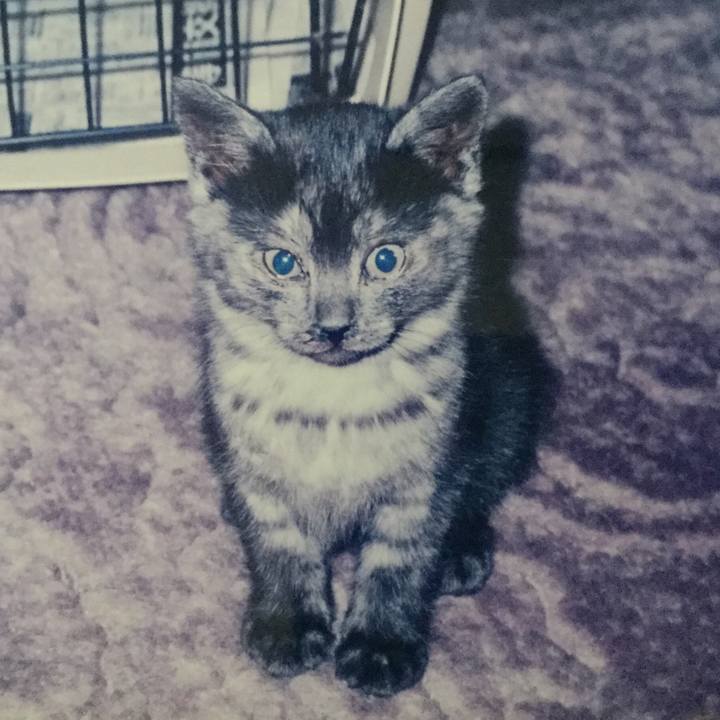 Ddc37071 6ec6 454e b452 5d409b1b3f5a 1515283222760