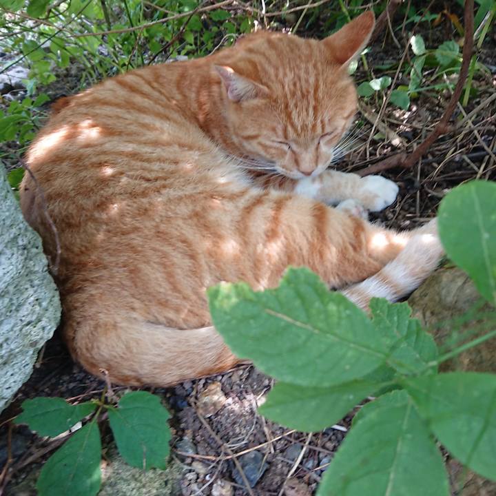 Ddc3cc51 7dc1 4d41 837a 7903dea22433 1565582670410