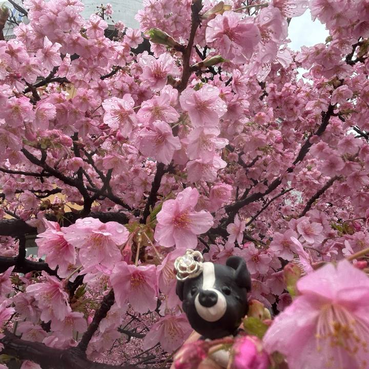 Ddc3fb7b 54ad 4f38 85b1 11c53fbc8e41 1772530429989