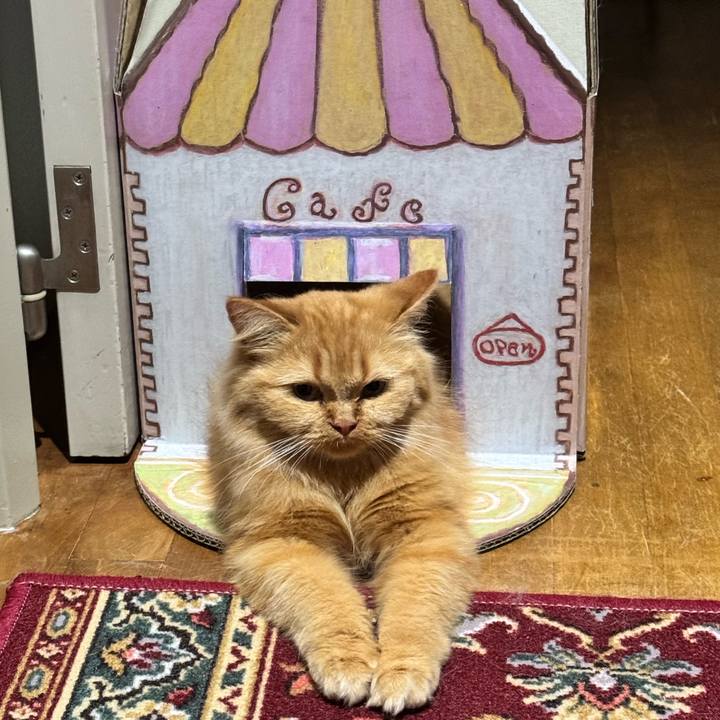 Ddc4149f a96c 4e38 acc8 bb56007b990f 1755647095239