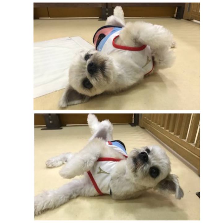 Ddc46a8f 8eb6 41f6 9fcf edf503fe1c10 1539168989779