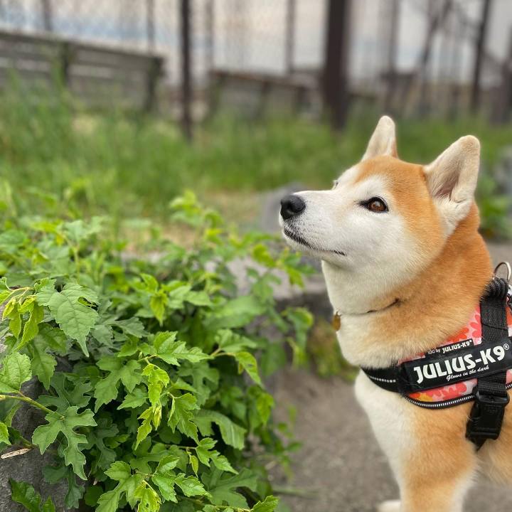 Ddc4dfdf 4c92 4c7b b374 e56776eebf74 1653574916116