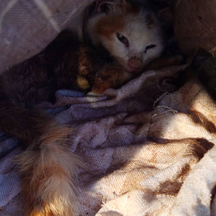 Ddc50628 3a57 4019 8e52 0571b51fd298 1773375549612