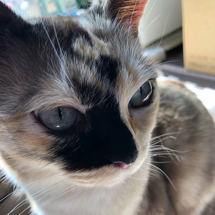 Ddc5110b 6837 4a24 bbb8 462c2f3a005b 1773423587515