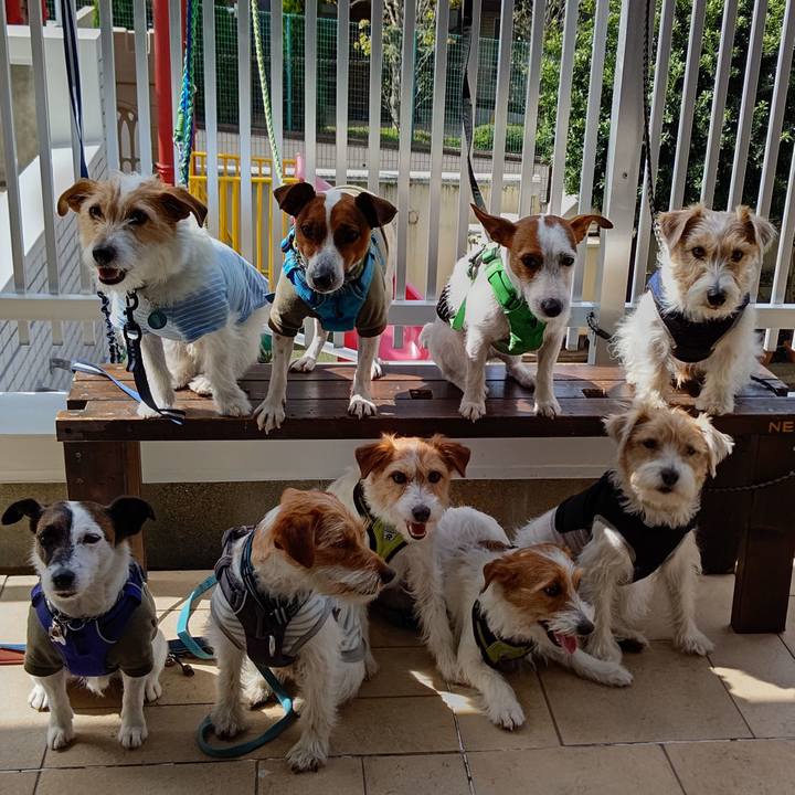 Ddc51906 6094 4e69 9fdd 08a099ebfa42 1617174923822