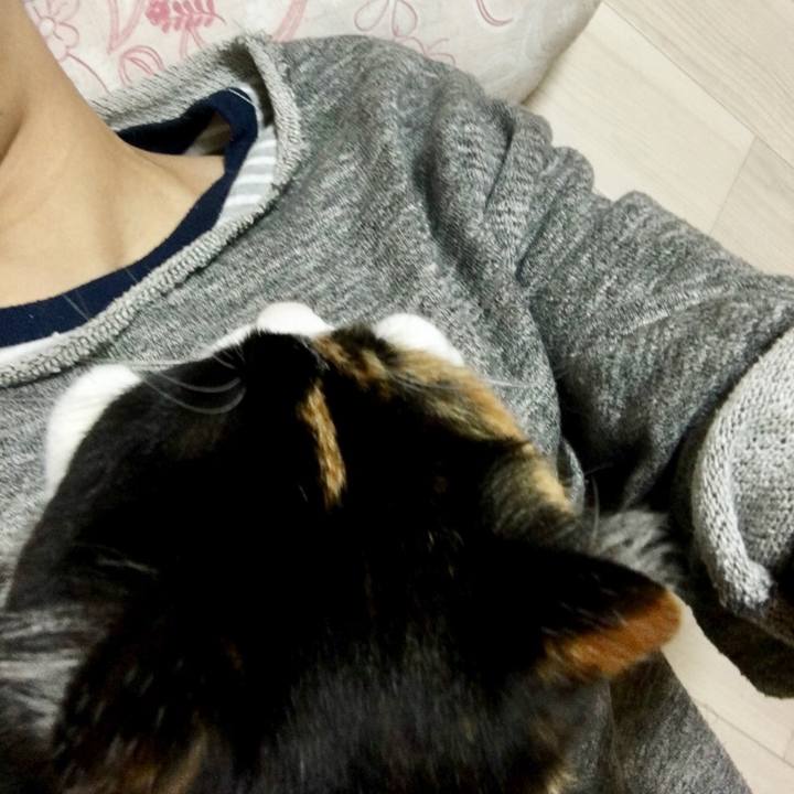 Ddc5606a b549 4ceb 872a f35cfb1b429f 1518174128912