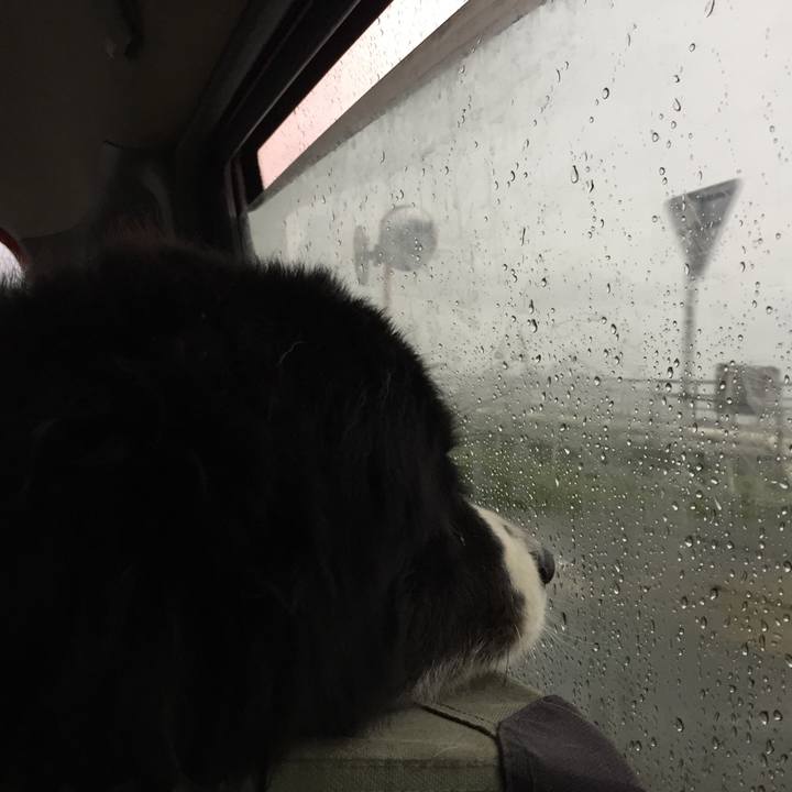 Ddc57709 ae93 4343 8197 6db30fa1187f 1563057089161