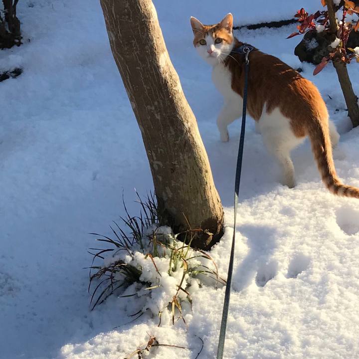 Ddc57fbe 30a9 45e0 b817 894766e781db 1514967569322