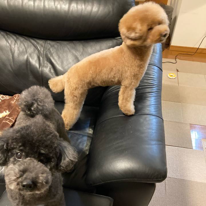 Ddc58814 c38b 47d5 8c29 2d82dd2c3a49 1672369756064