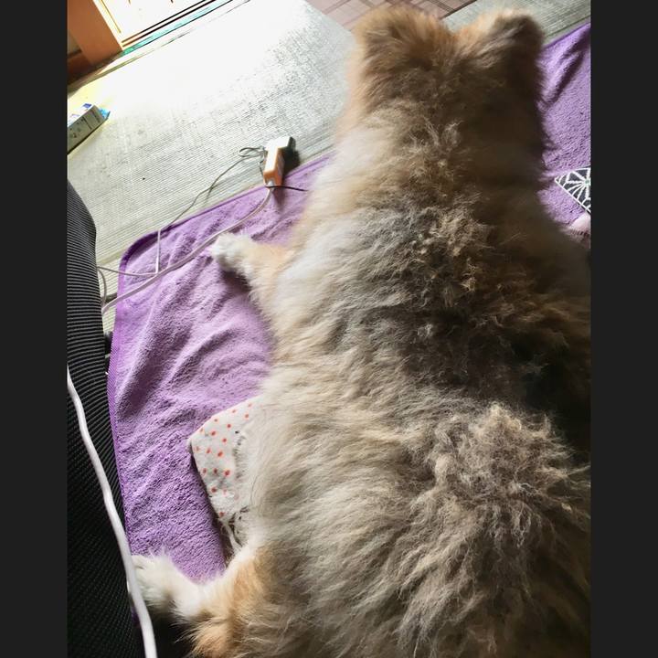 Ddc5a82d 907d 4d9c bcc7 e67814dc5fdf 1562222124601