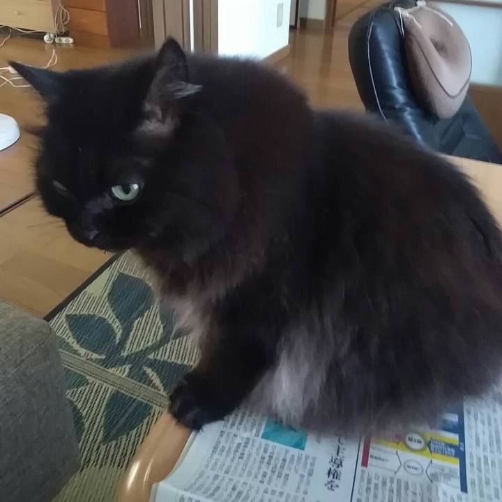 Ddc5cc9d d862 4869 8802 d28385f6e31a 1537258801237