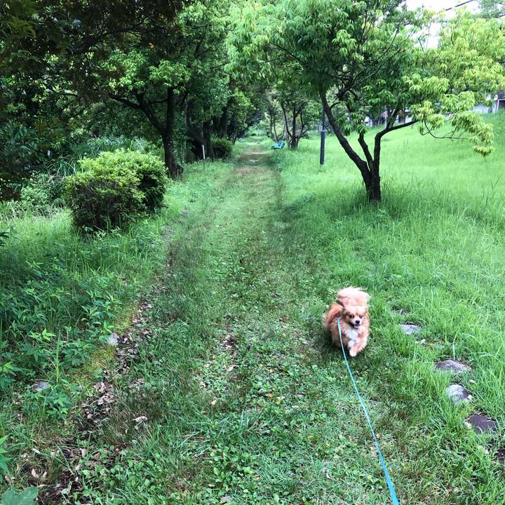 Ddc5d495 7218 4d50 8be3 3546283923bf 1562103205612