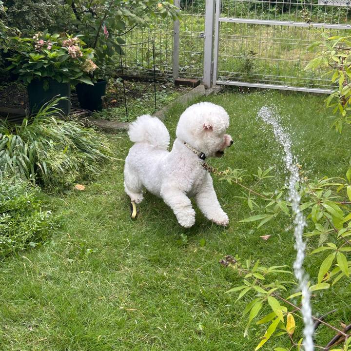 Ddc6014d ed66 4663 8480 116cb1a49d72 1759713249929