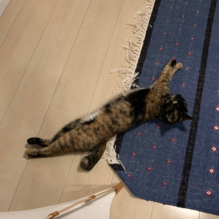 Ddc61227 a973 4ac9 ba5b b524362d1795 1572996607393