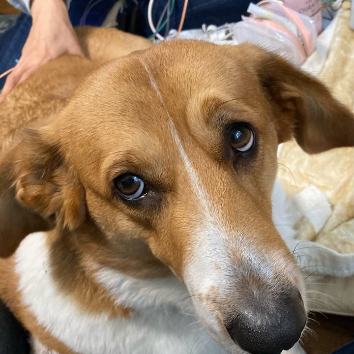 Ddc63264 ebc1 4720 8500 327f25cd8032 1676286259410