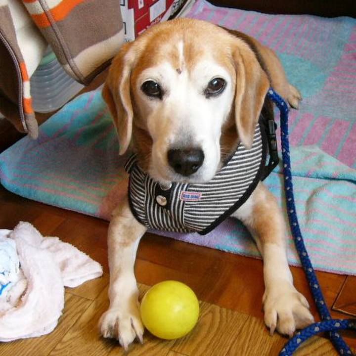 Ddc65691 4132 4d31 9110 ed2e3083cae5 1661300503778